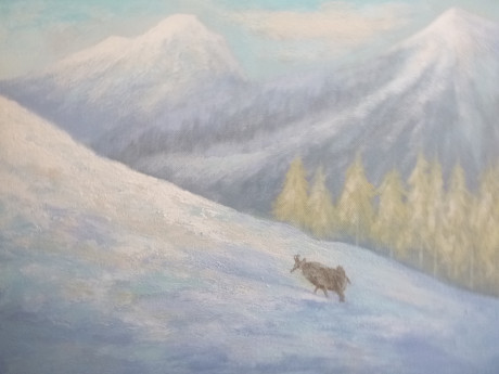 Afbeelding invoegen